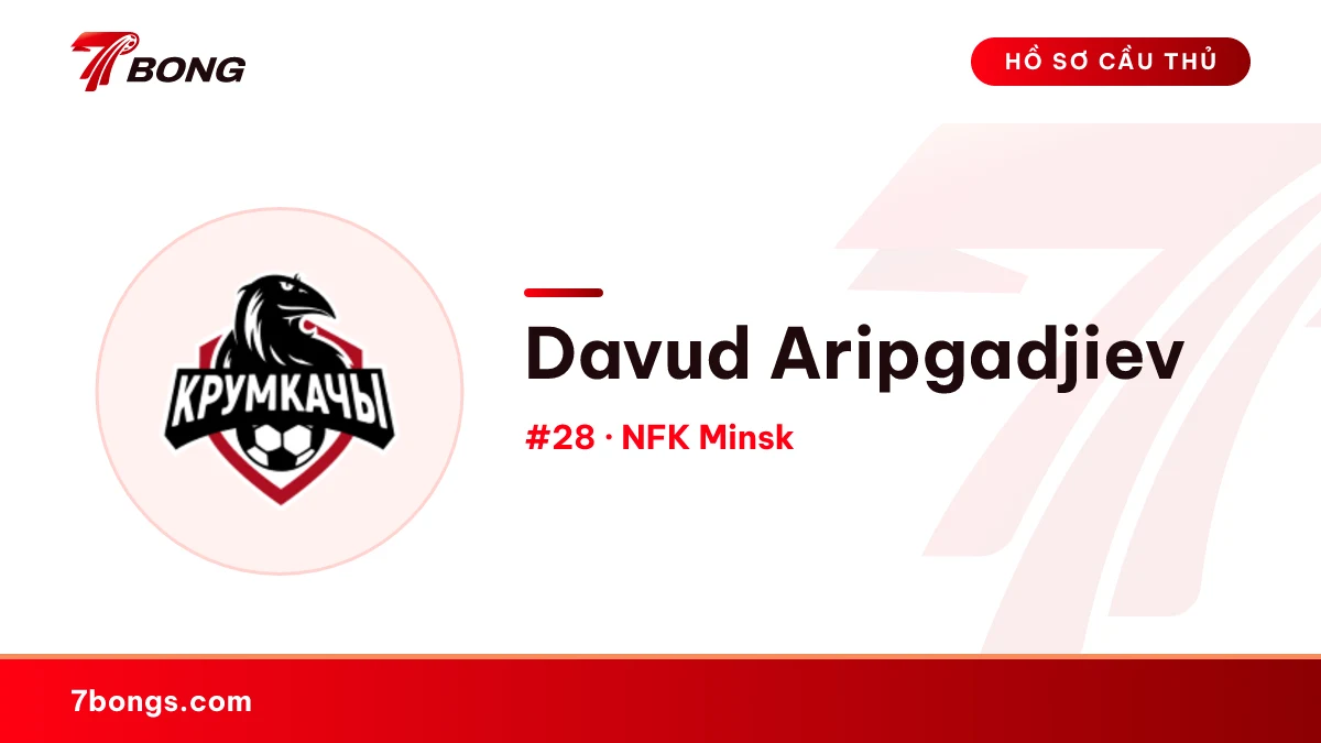 Davud Aripgadjiev — NFK Minsk
