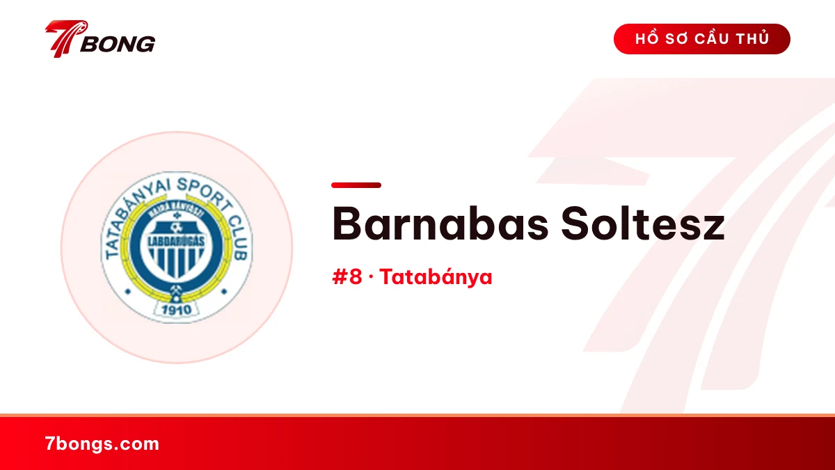 Barnabas Soltesz — Tatabánya