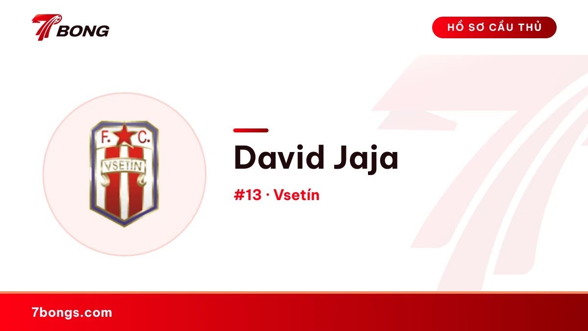 David Jaja — Vsetín