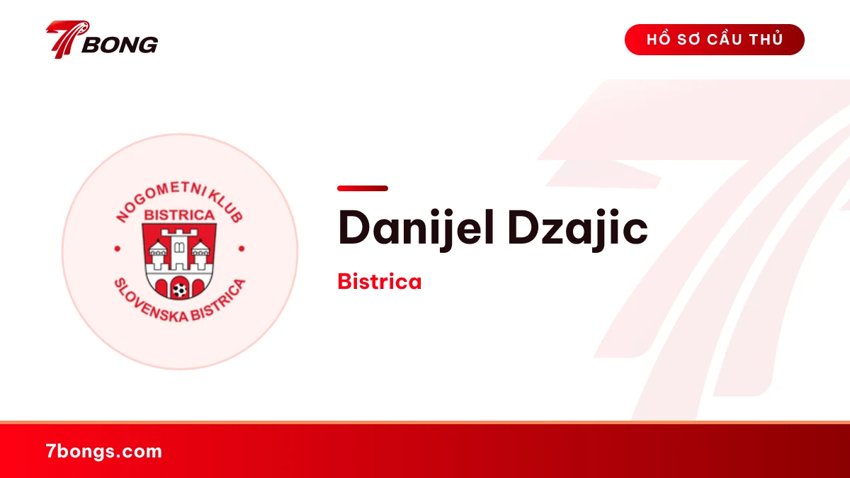 Danijel Dzajic — Bistrica