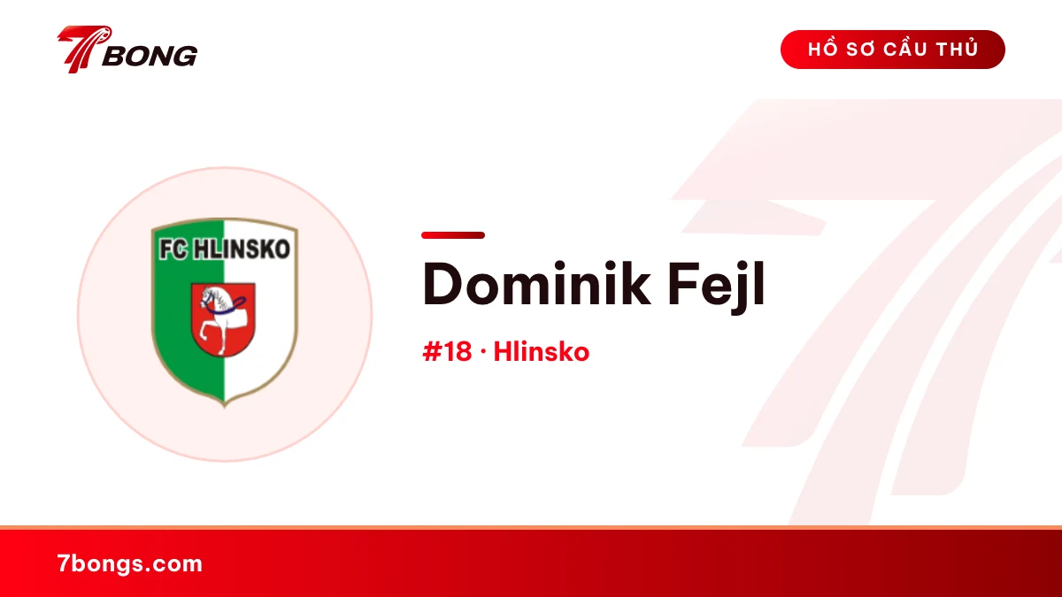 Dominik Fejl — Hlinsko
