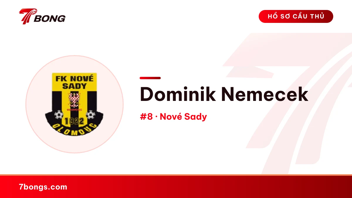 Dominik Nemecek — Nové Sady