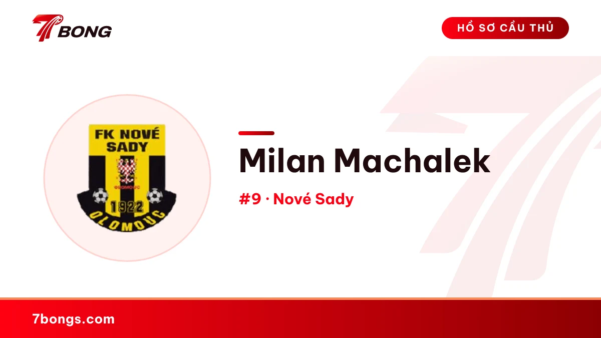 Milan Machalek — Nové Sady