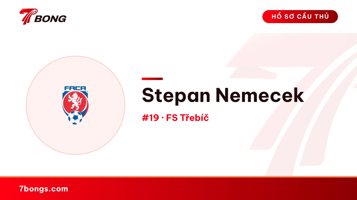 Stepan Nemecek — FS Třebíč