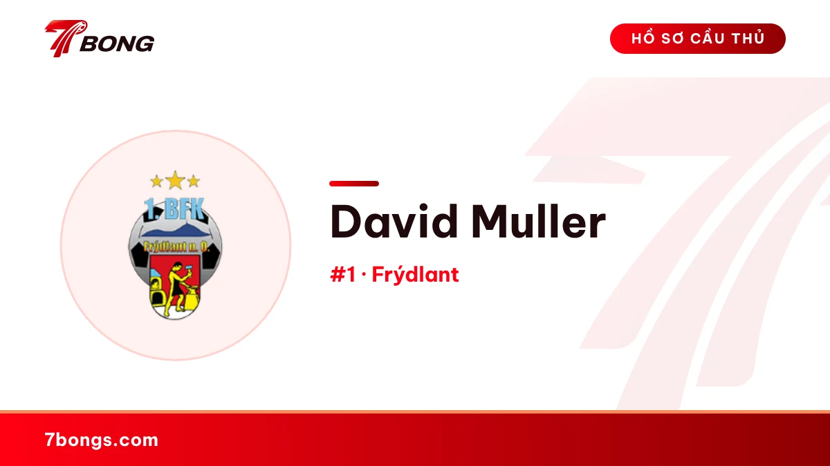 David Muller — Frýdlant