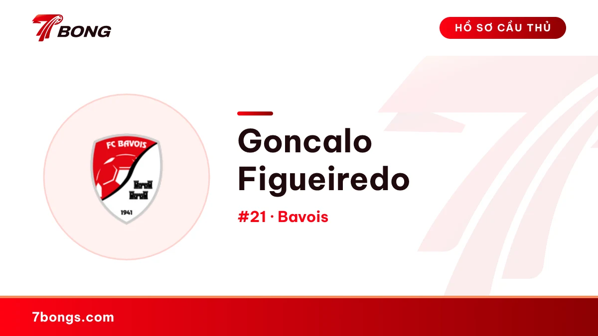 Goncalo Figueiredo — Bavois