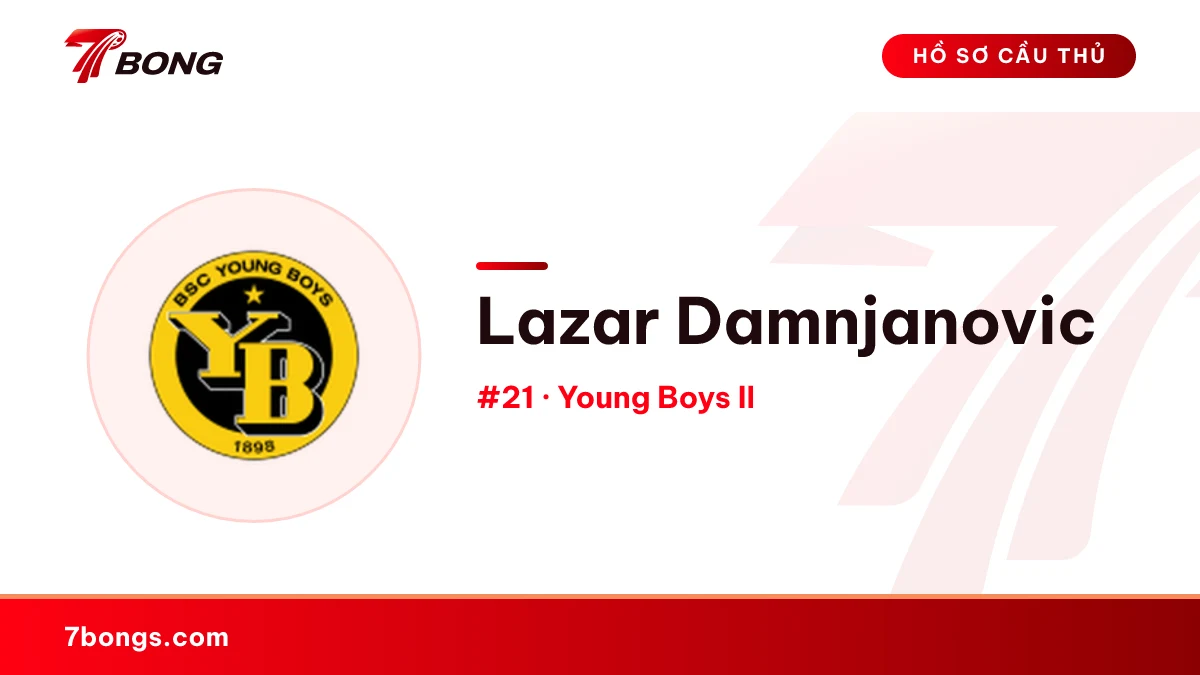Lazar Damnjanovic — Young Boys II
