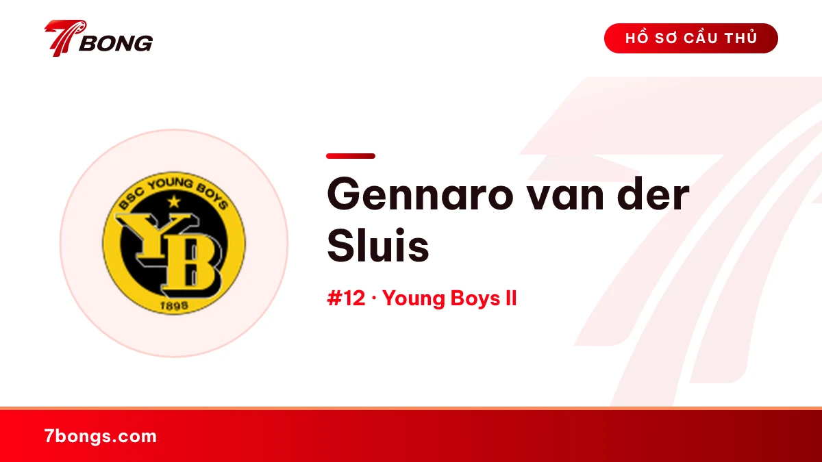 Gennaro van der Sluis — Young Boys II