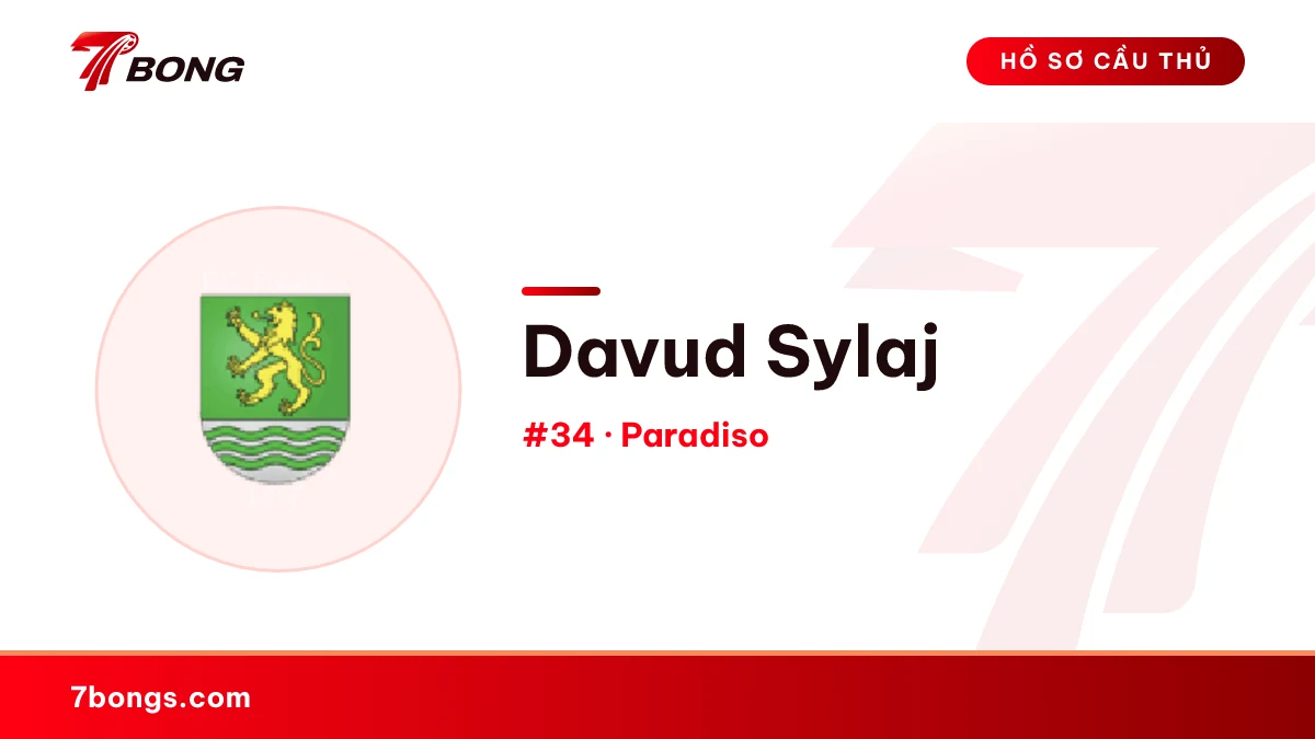 Davud Sylaj — Paradiso