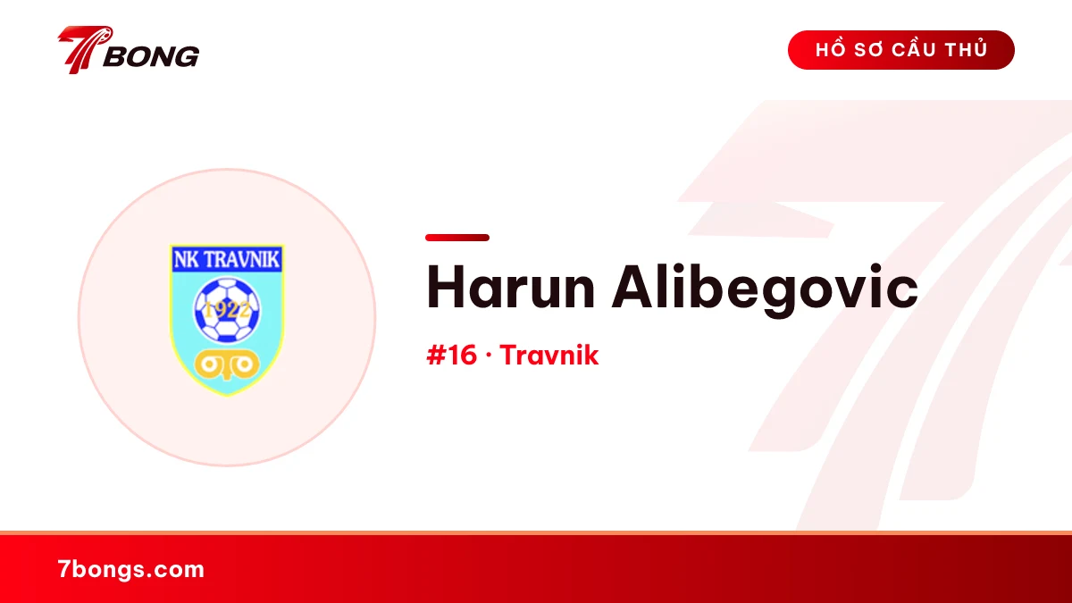 Harun Alibegovic — Travnik