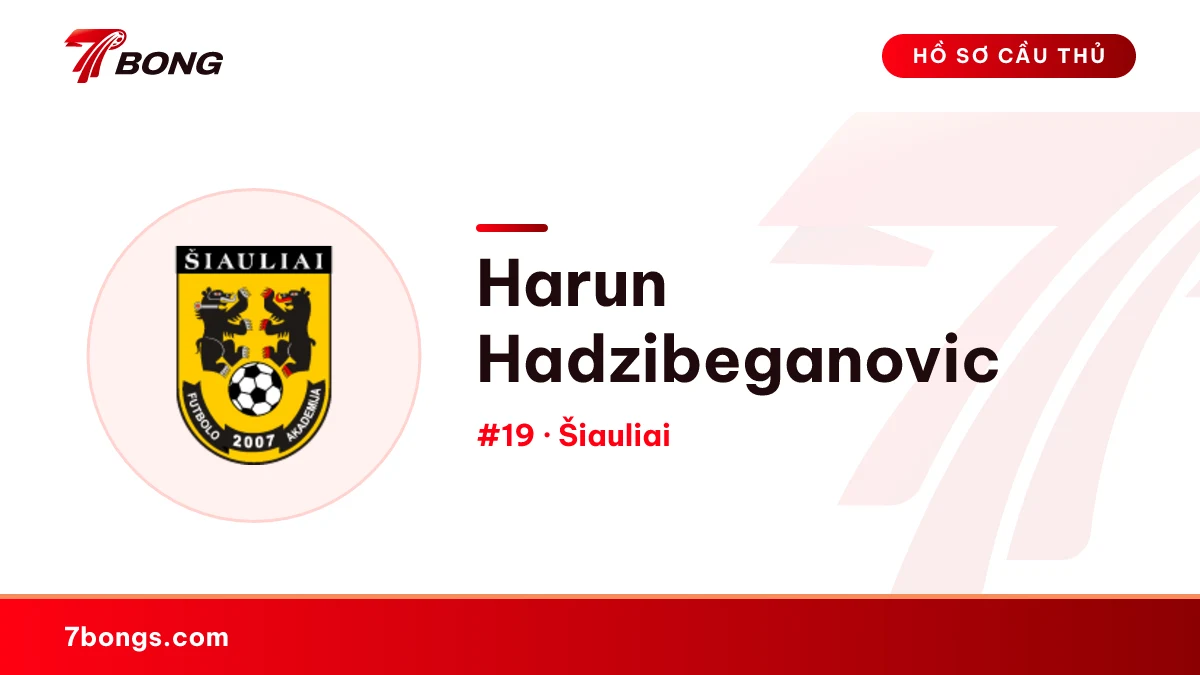 Harun Hadzibeganovic — Šiauliai