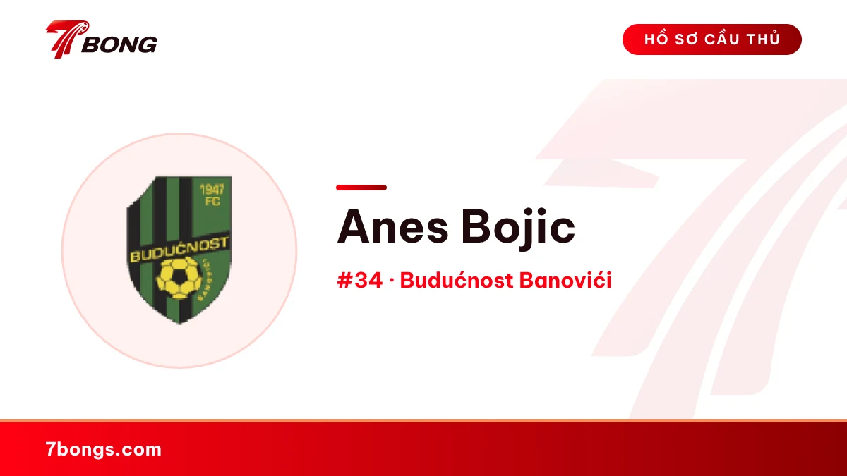 Anes Bojic — Budućnost Banovići