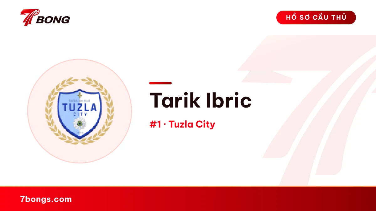 Tarik Ibric — Tuzla City