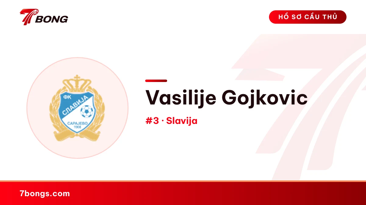 Vasilije Gojkovic — Slavija