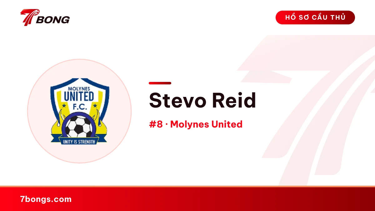 Stevo Reid — Molynes United