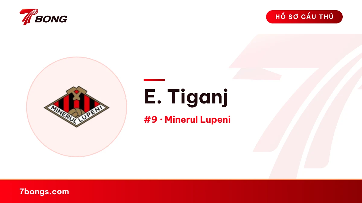 E. Tiganj — Minerul Lupeni