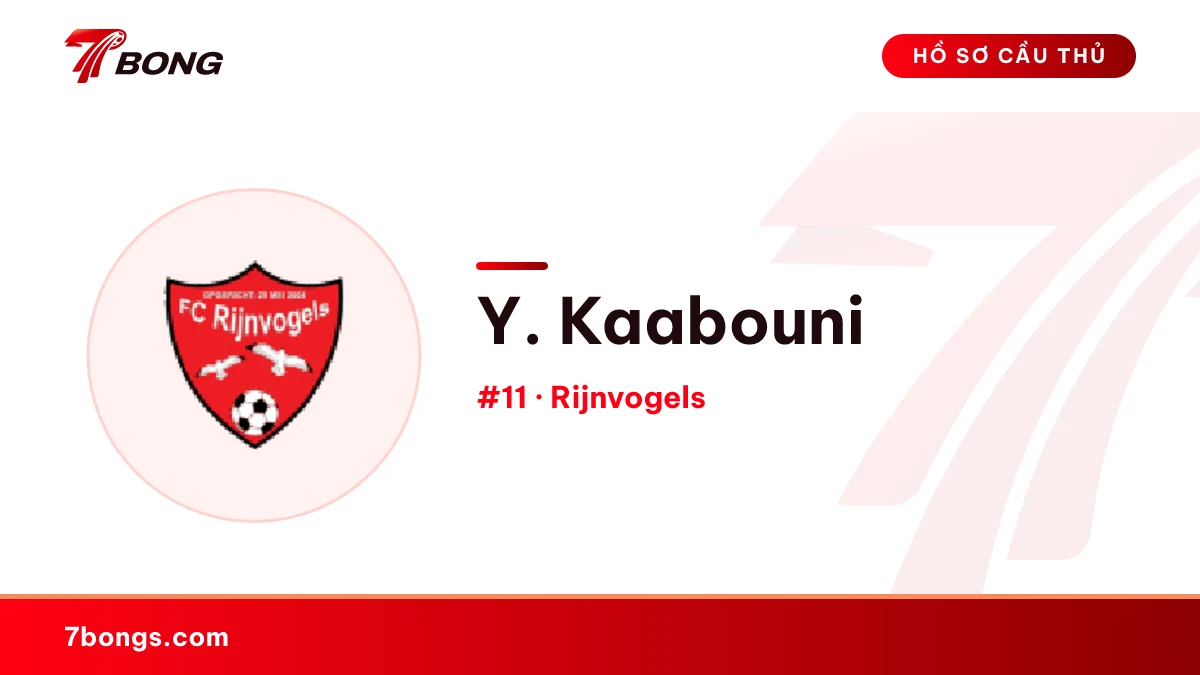 Y. Kaabouni — Rijnvogels