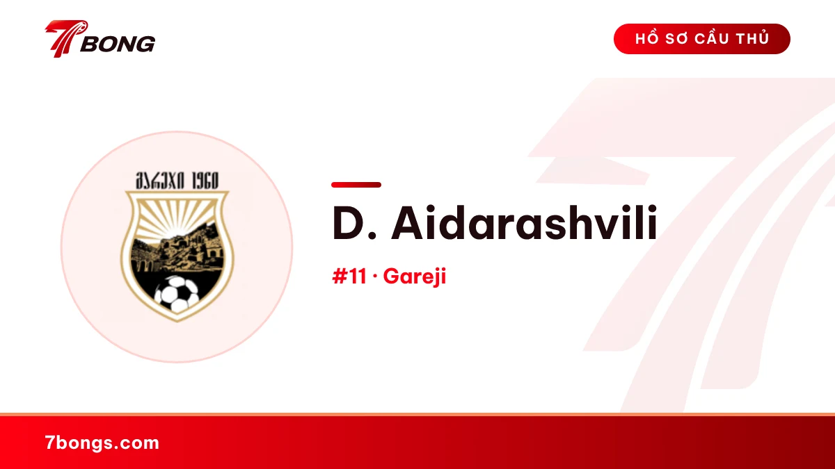 D. Aidarashvili — Gareji