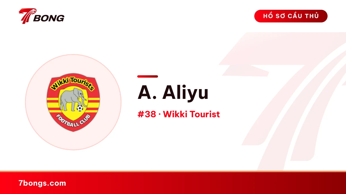 A. Aliyu — Wikki Tourist