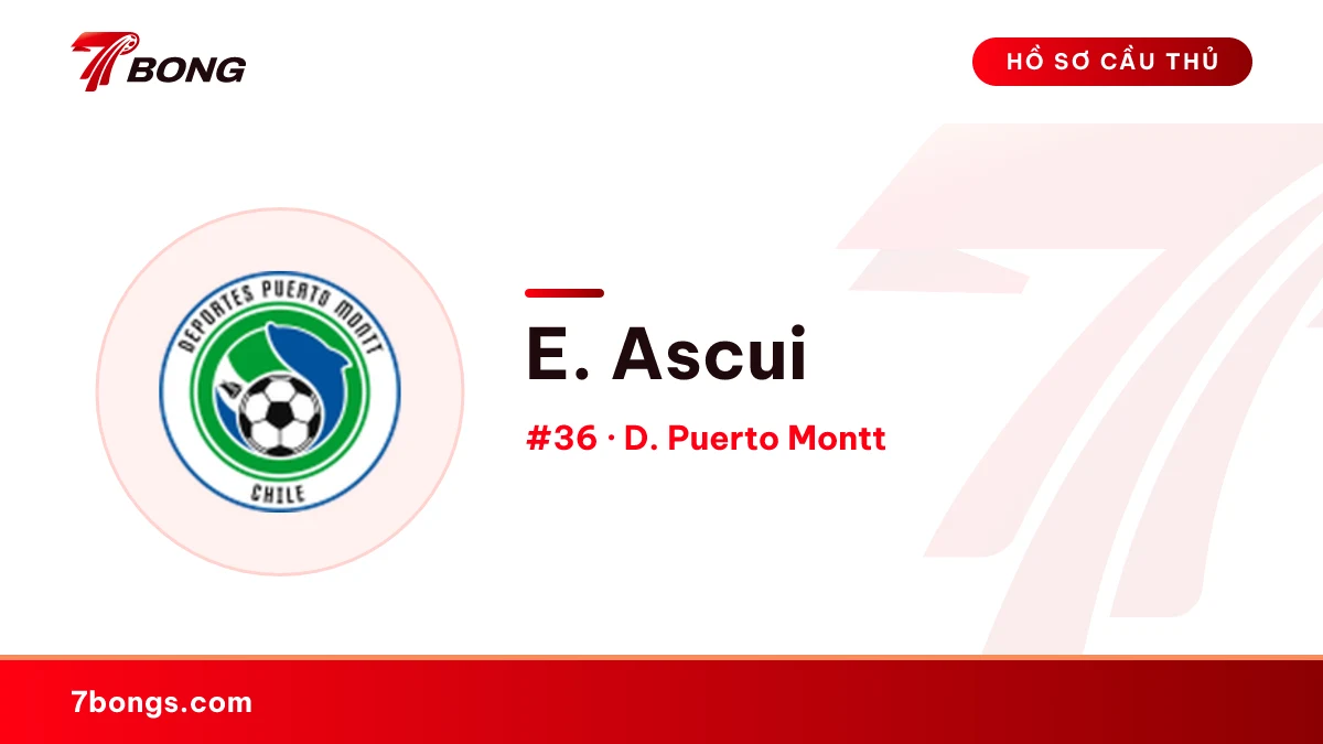 E. Ascui — D. Puerto Montt
