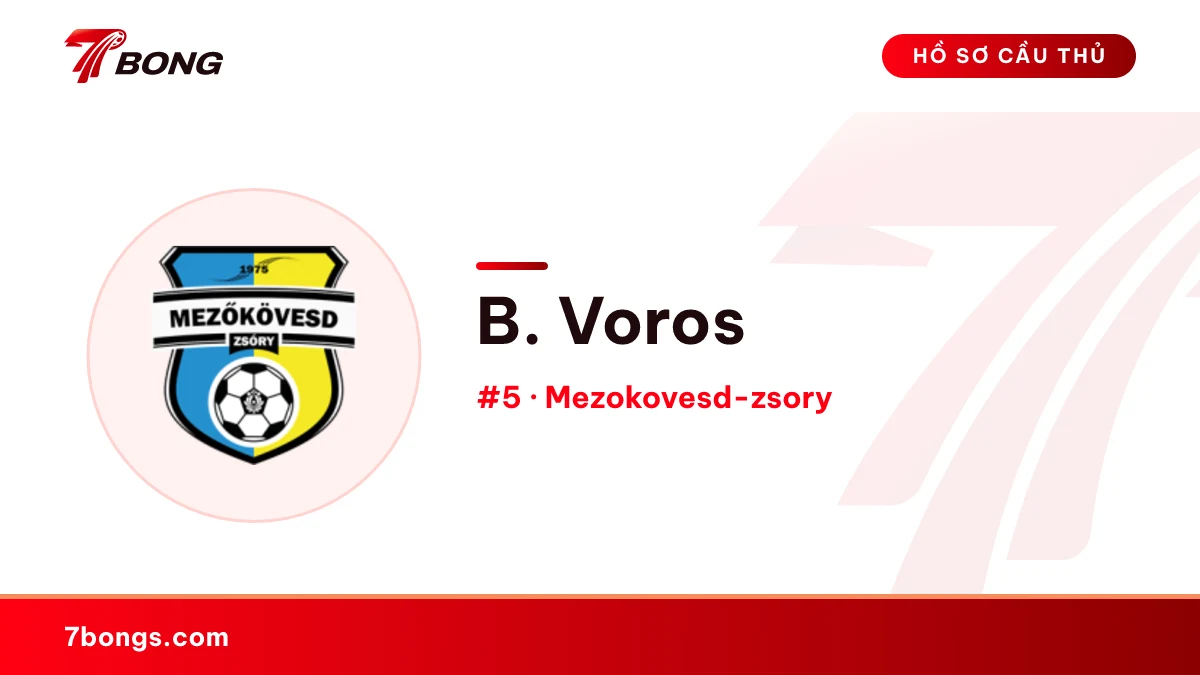 B. Voros — Mezokovesd-zsory