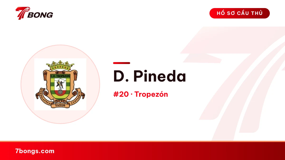 D. Pineda — Tropezón
