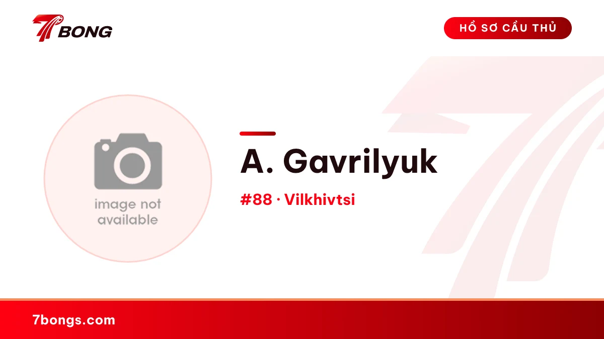 A. Gavrilyuk — Vilkhivtsi