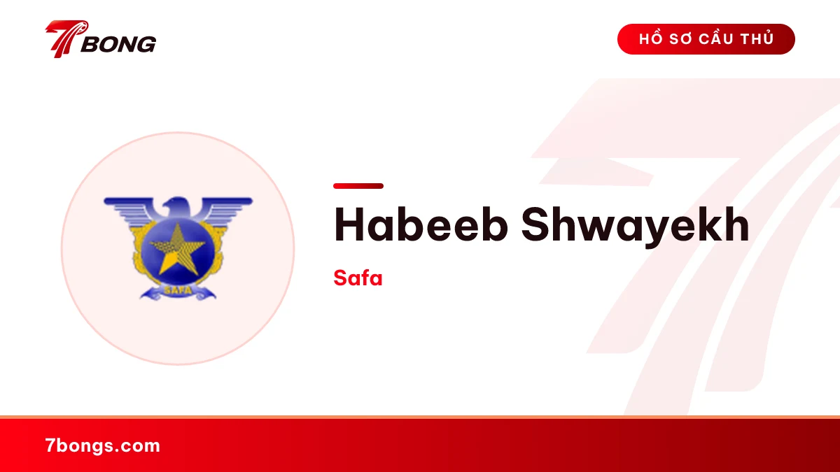 Habeeb Shwayekh — Safa