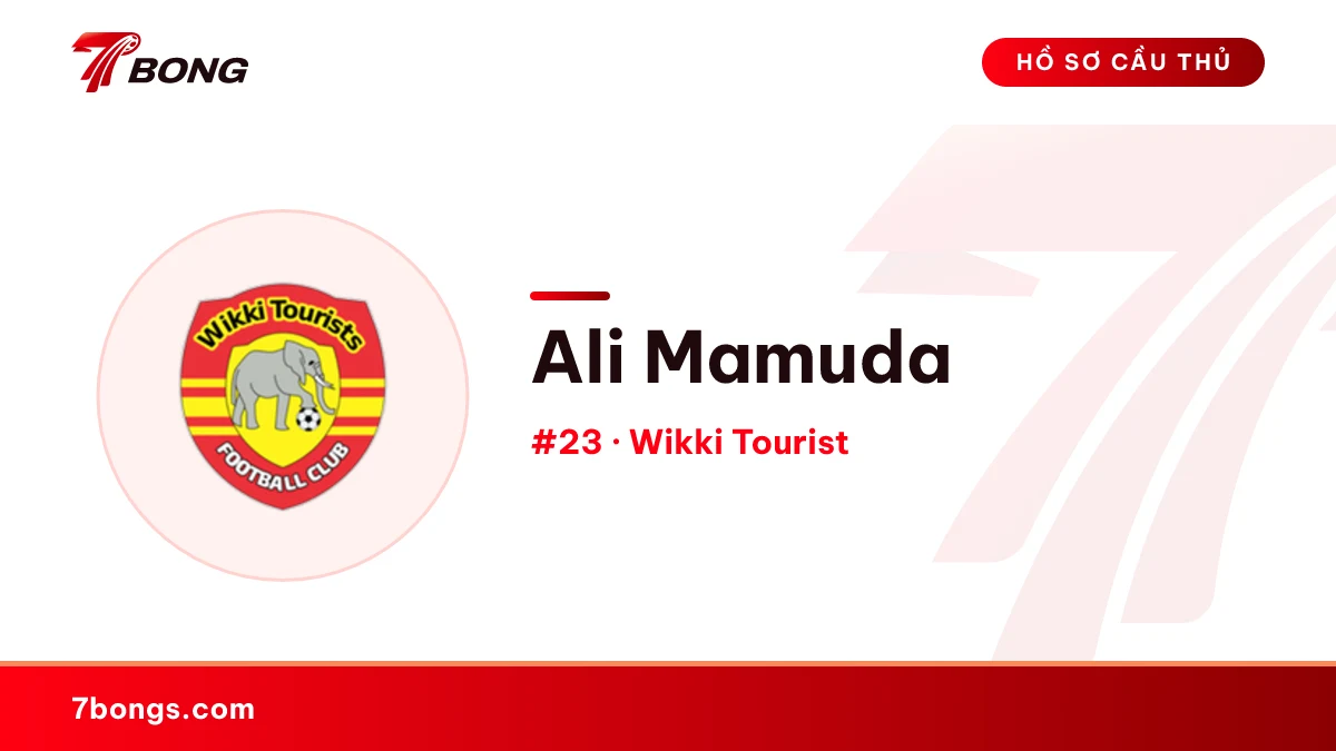 Ali Mamuda — Wikki Tourist