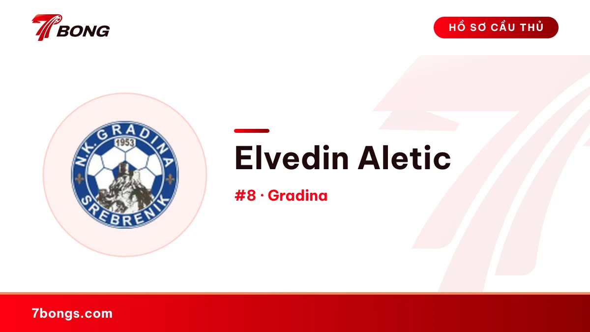 Elvedin Aletic — Gradina