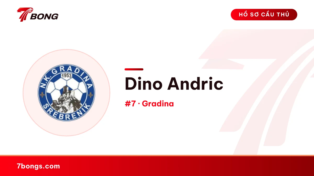 Dino Andric — Gradina
