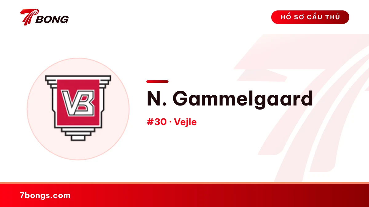 N. Gammelgaard — Vejle