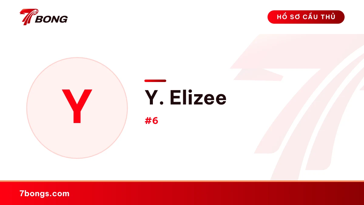 Y. Elizee
