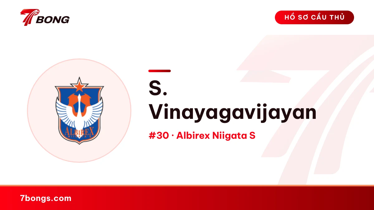 S. Vinayagavijayan — Albirex Niigata S