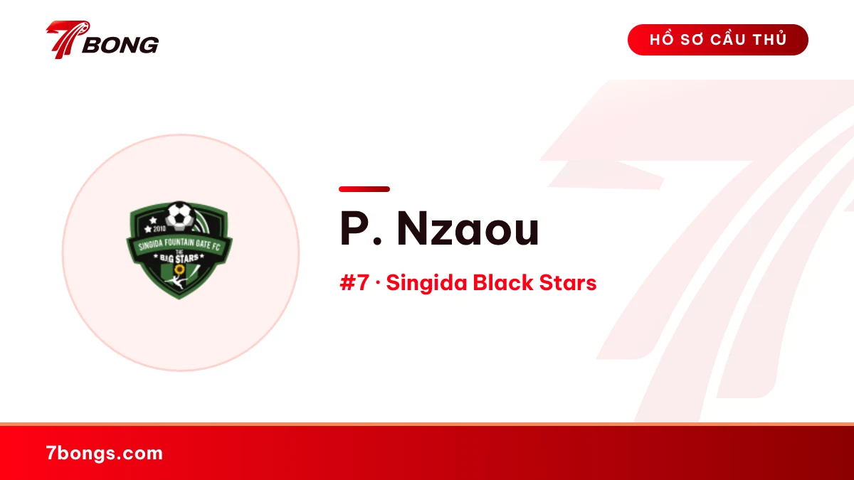 P. Nzaou — Singida Black Stars
