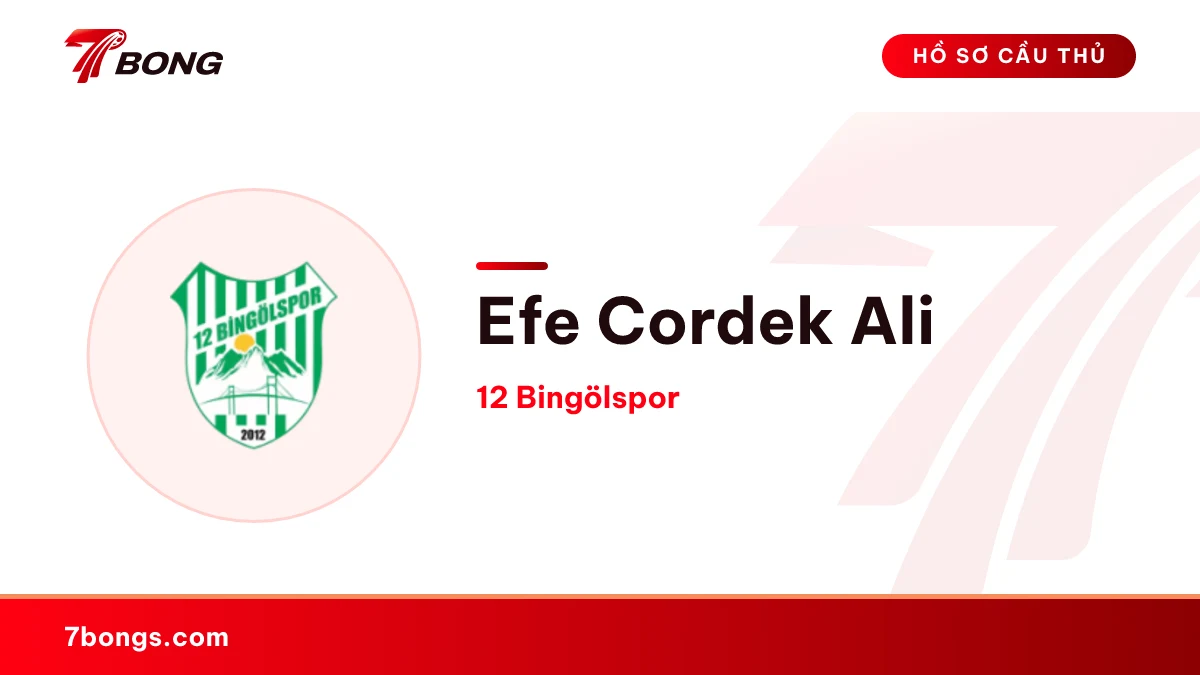 Efe Cordek Ali — 12 Bingölspor