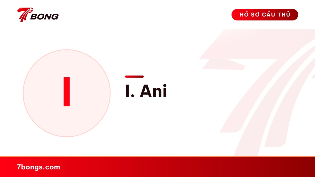 I. Ani