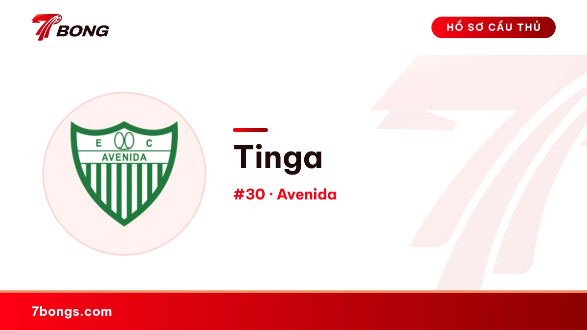 Tinga — Avenida