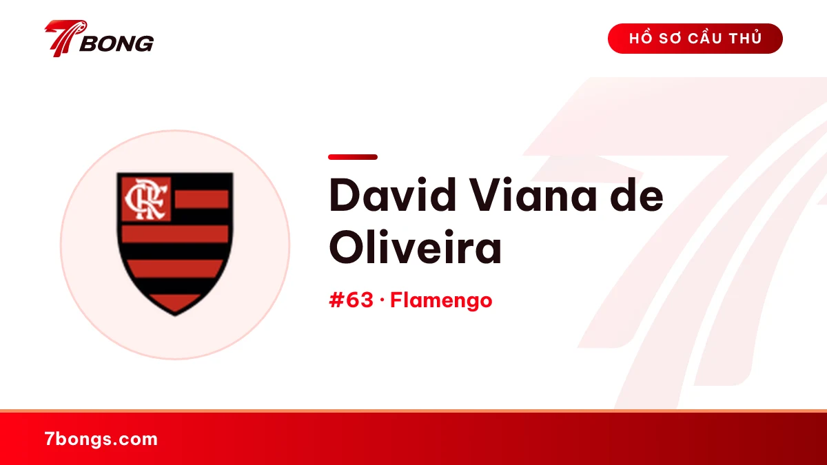 David Viana de Oliveira — Flamengo