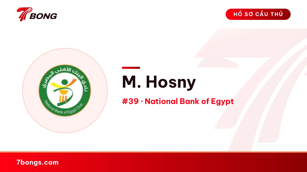 M. Hosny — National Bank of Egypt