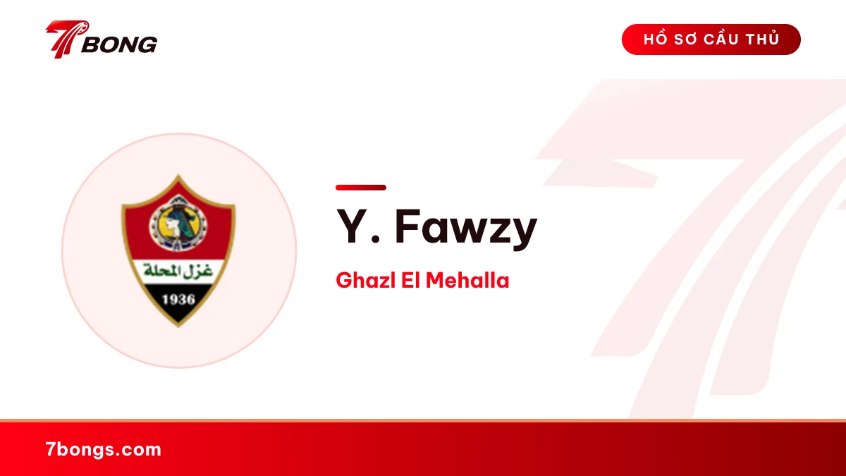 Y. Fawzy — Ghazl El Mehalla