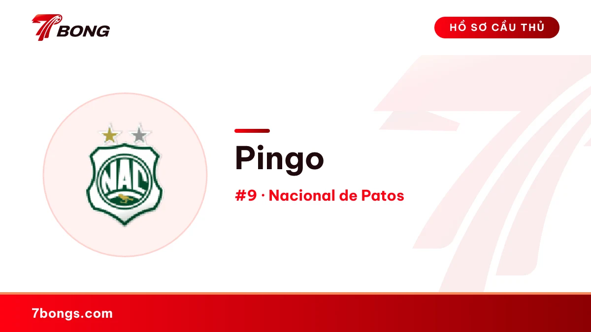 Pingo — Nacional de Patos
