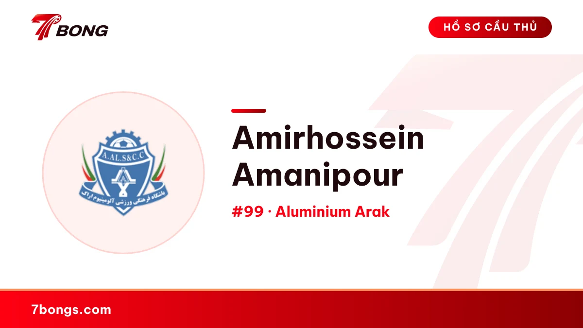 Amirhossein Amanipour — Aluminium Arak