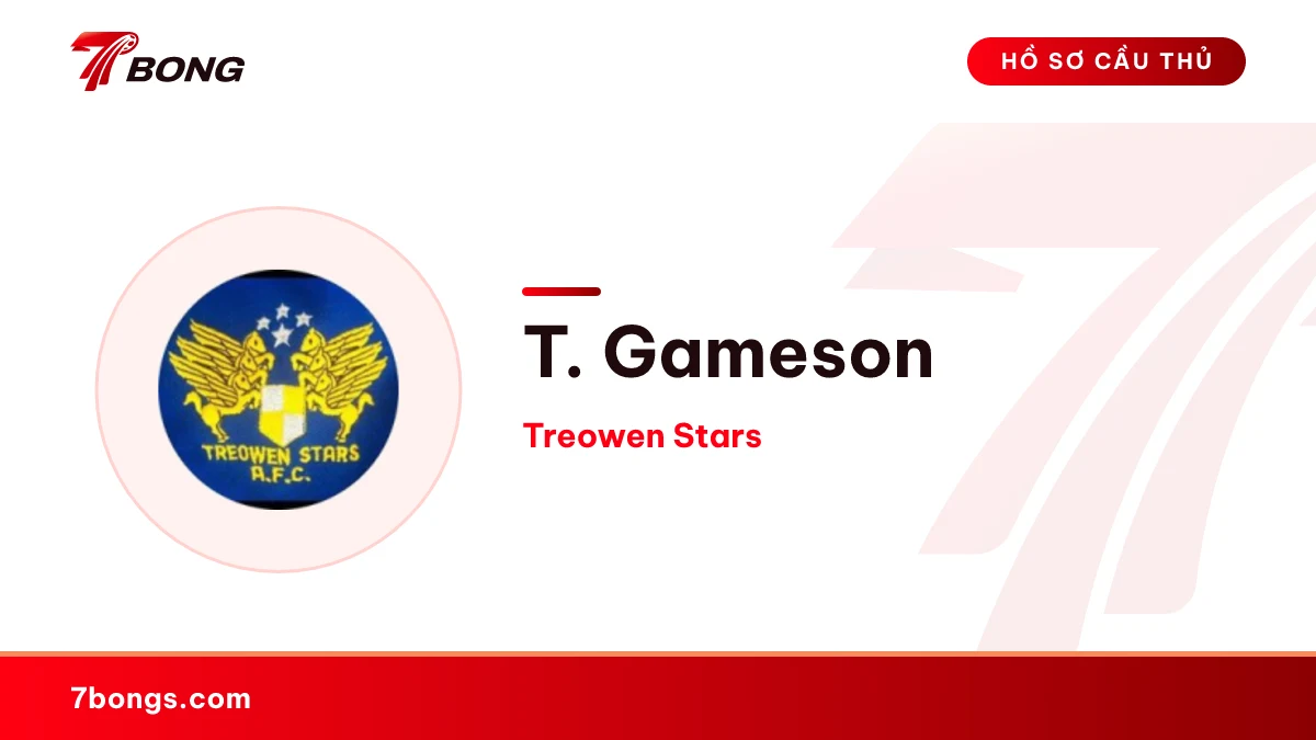T. Gameson — Treowen Stars