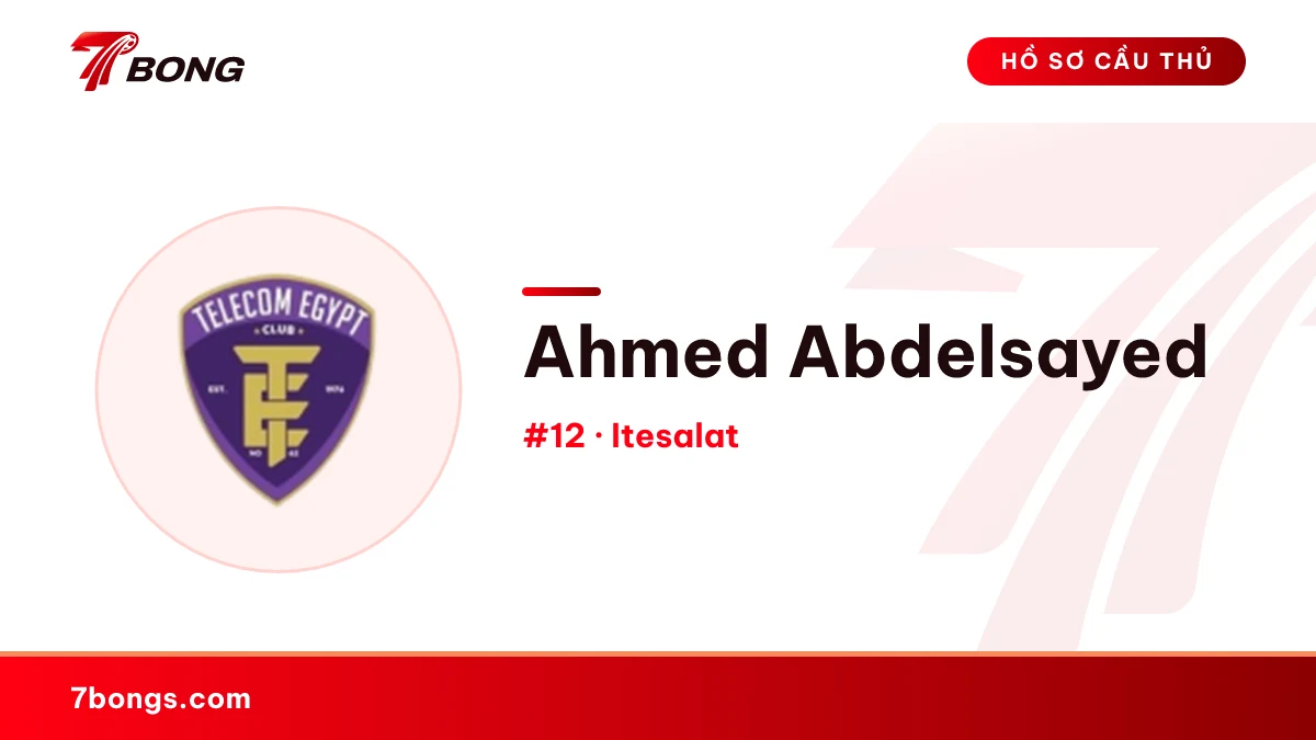 Ahmed Abdelsayed — Itesalat