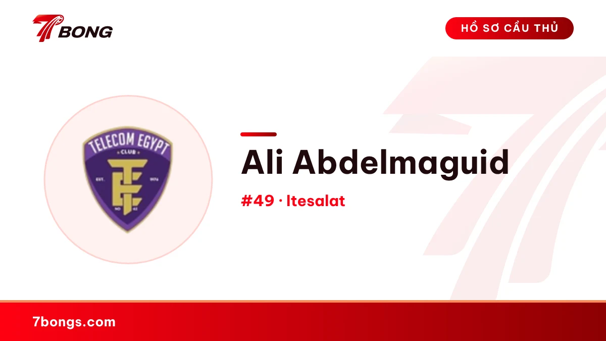 Ali Abdelmaguid — Itesalat