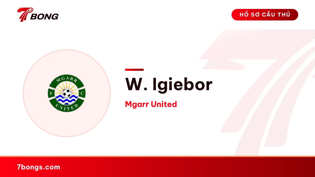 W. Igiebor — Mgarr United