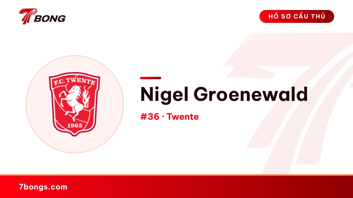 Nigel Groenewald — Twente
