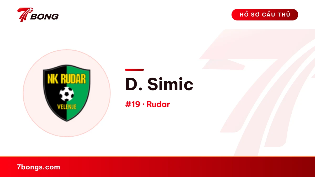 D. Simic — Rudar
