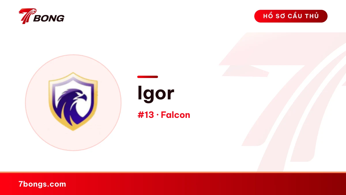 Igor — Falcon